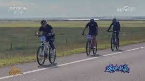 corporate services 14