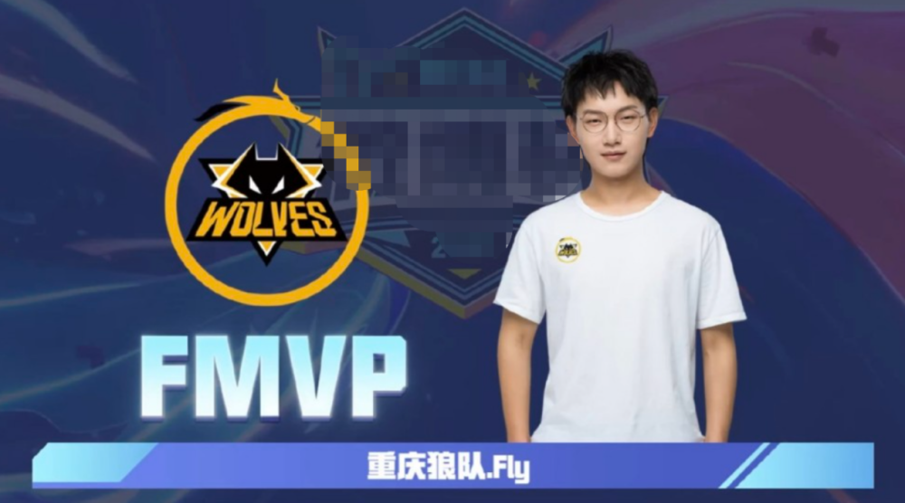 级别的双保